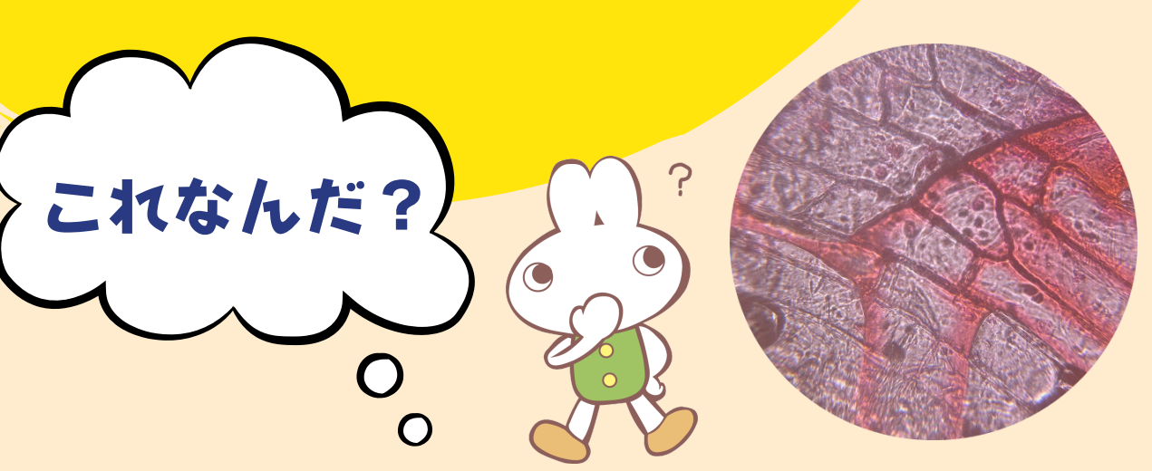 スクリーンショット 2025-07-09 203739.png