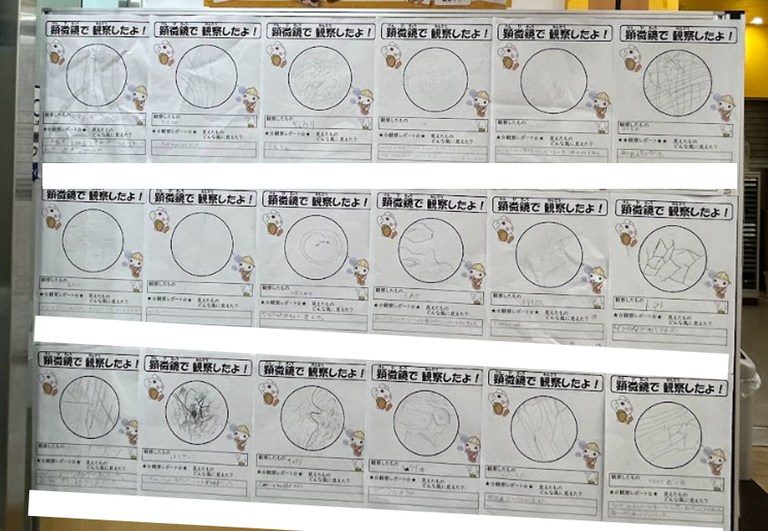 スクリーンショット 2025-07-28 181657.png